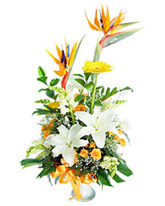 Mixed bouquet of white lilies & strelitzia