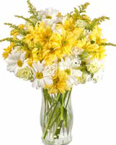 Bouquet of Carnations and Daisy