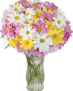 Bouquet of mixed color Chrysanthemums