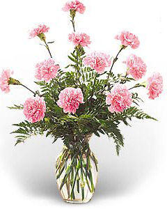 Dozen Pink Carnations