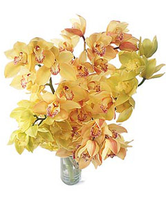 Orchid bouquet