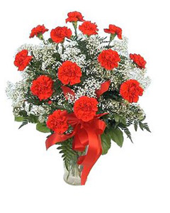 Red carnations