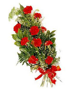 Bouquet of red carnations