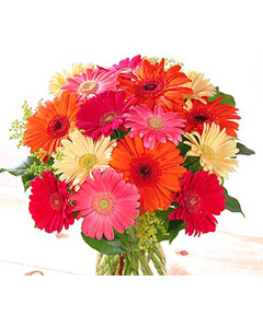 Gerbera bouquet