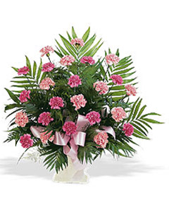 Arrangement of pink carnations