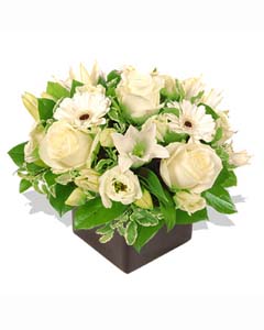 Mixed White Flowers in a Vase