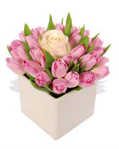Fresh Pink Dozen Tulips & Peach Rose in a Vase