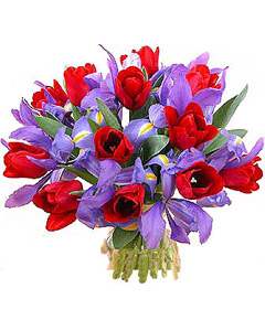 Iris & Red Tulip Bouquet