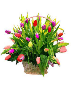 Tulip Basket