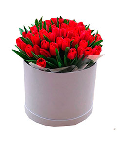 Red Tulips in a Round Box