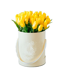 Yellow Tulips in a Round Box