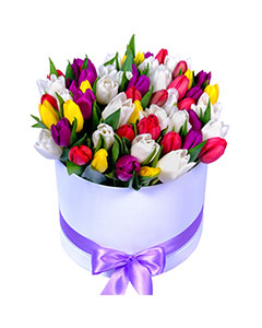 Mixed  Tulips in a Round Box