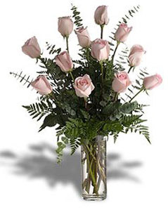 Dozen pink roses