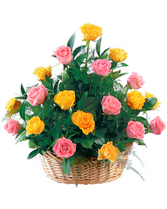 Wow! Rose Basket