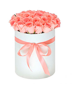 Pink Roses in a Round White Box