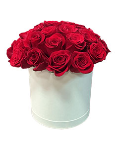 Red Roses in a Round White Box