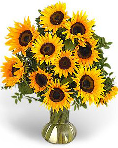 Sunflower Bouquet