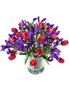 Seasonal bouquet of Tulips & Irises