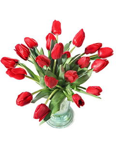 Tulips Bouquet