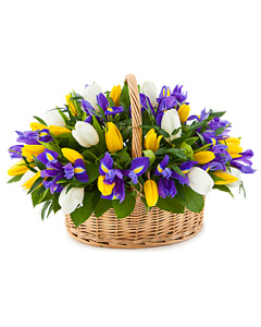 Iris and tulip arrangement