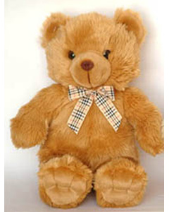 Medium Teddy Bear