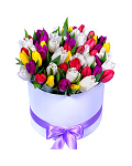 Mixed  Tulips in a Round Box
