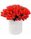 50 Red Tulips in a Round Box