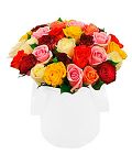 Mixed Roses in a Round White Box