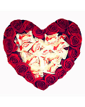 Heart of red roses and candies