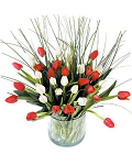 Seasonal bouquet of Tulips